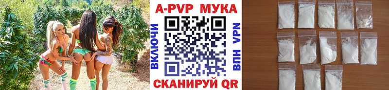 mega ссылки  Кимовск  Alfa_PVP VHQ 