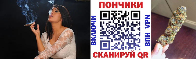 Бошки Шишки планчик Кимовск